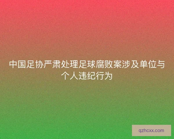 中国足协严肃处理足球腐败案涉及单位与个人违纪行为