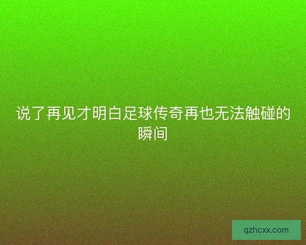 说了再见才明白足球传奇再也无法触碰的瞬间
